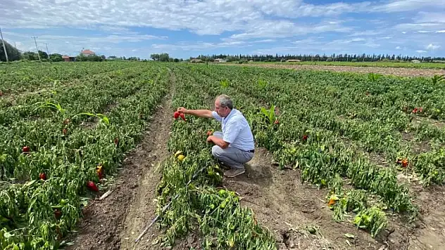 'Zararımız çok büyük'