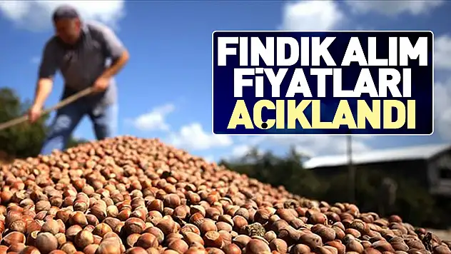 Fındık alım fiyatları açıklandı