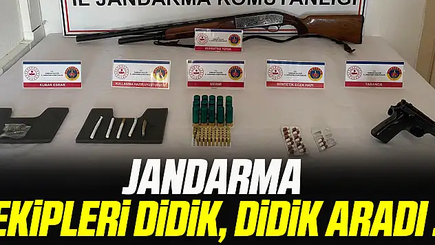 JANDARMA EKİPLERİ DİDİK, DİDİK ARADI !