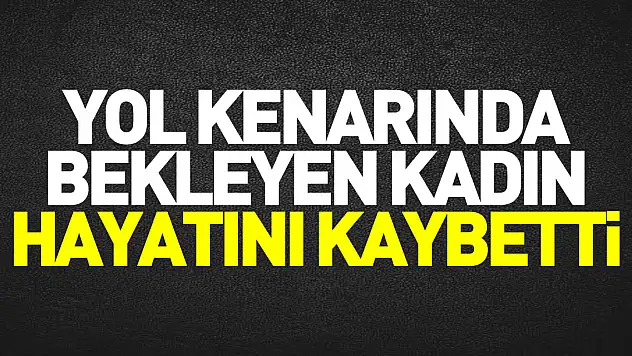 Yol kenarında bekleyen kadın hayatını kaybetti
