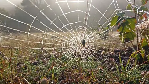 Boyundan büyük işler yapıyor