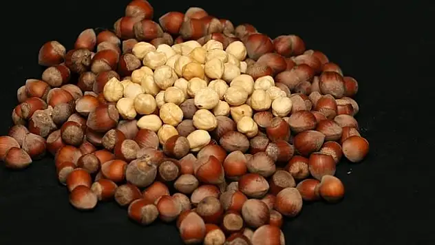 442,7 milyon dolarlık fındık ihraç edildi