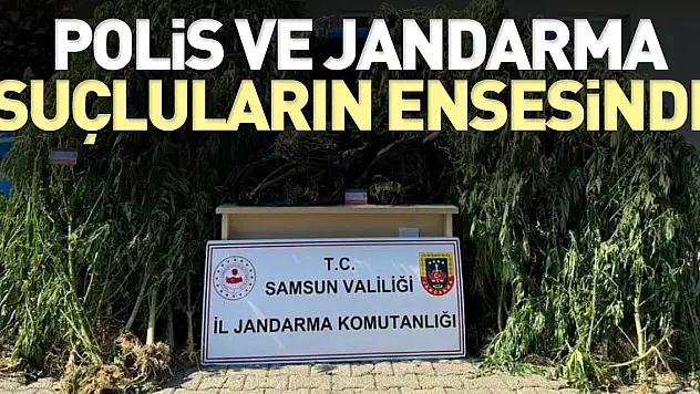 Bin 261 aranan şahıs yakalandı, 200 ruhsatsız tabanca ele geçirildi