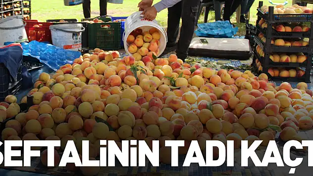 ŞEFTALİNİN TADI KAÇTI