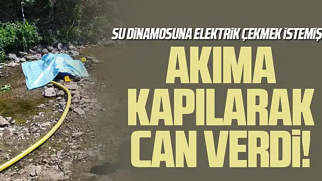 Elektrik akımına kapılarak can verdi!