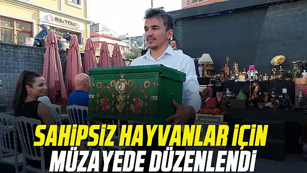 Sahipsiz hayvanlar için müzayede düzenlendi