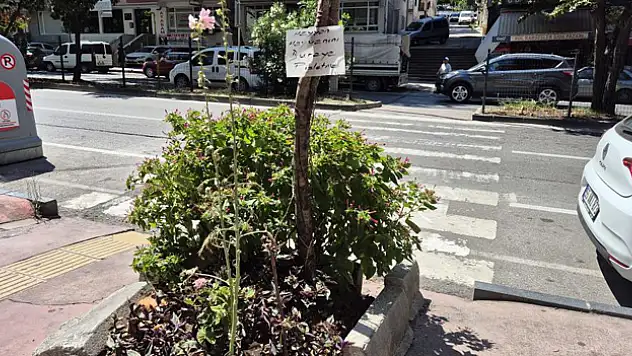 Çiçekleri korumak için ilginç yöntem