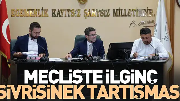Mecliste İlginç Sivrisinek Tartışması