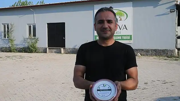 Manda yoğurdu üretip Dubai'ye kadar ulaştılar