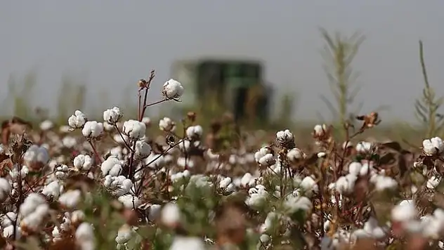 Sulamayı 'akşam yapın' çağrısı