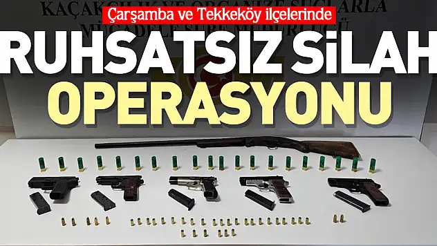 Samsun'da silah operasyonu