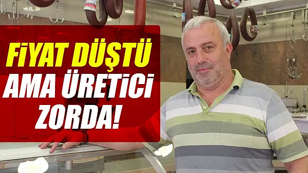 Fiyat düştü ama üretici zorda!