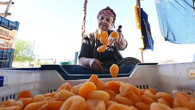 Hasadı biten kayısı 'patik'le işçisine kazandırıyor