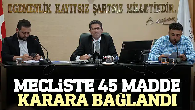 45 madde karara bağlandı