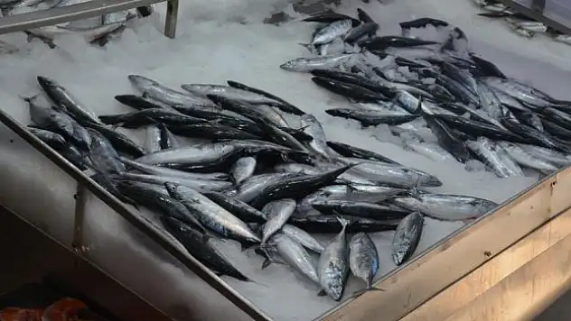 '1 ay daha bekleyelim'