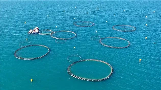Su ürünleri yetiştiriciliğinde düzenlemeye gidildi