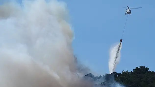 Türkiye'de orman yangınları arttı