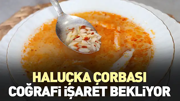 Haluçka çorbası coğrafi işaret bekliyor
