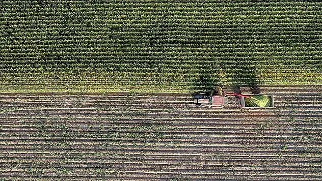 Üreticilerin pazarlama sorunu çözülecek