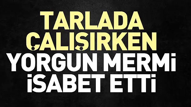 TARLADA ÇALIŞIRKEN YORGUN MERMİ İSABET ETTİ