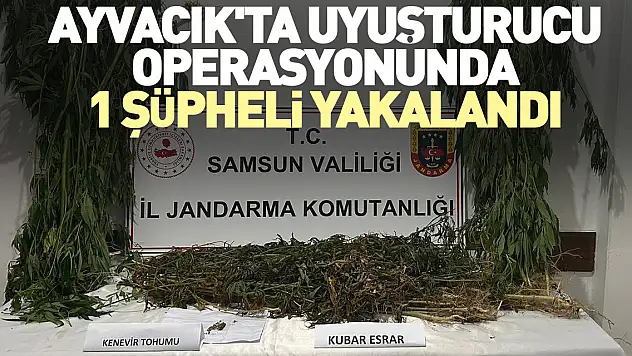 Ayvacık'ta uyuşturucu operasyonunda 1 şüpheli yakalandı