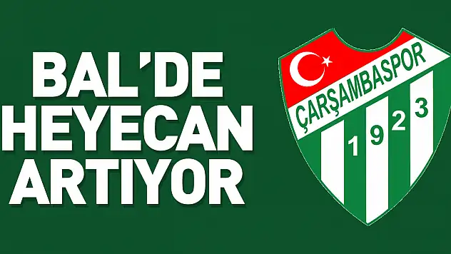 BAL'de Heyecan artıyor