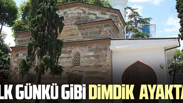 İLK GÜNKÜ GİBİ DİMDİK  AYAKTA