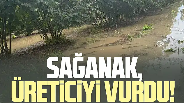 Sağanak, üreticiyi vurdu!
