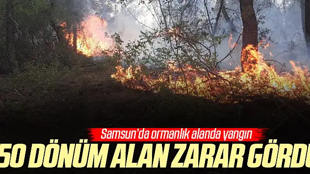 50 dönüm alan zarar gördü