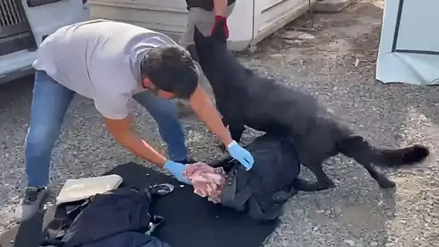 572 gram metamfetamin ele geçirildi