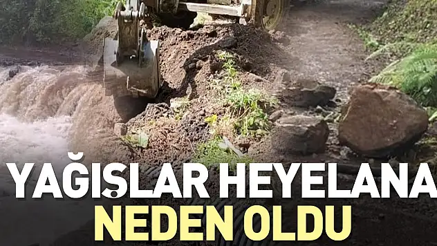 YAĞIŞLAR HEYELANA NEDEN OLDU