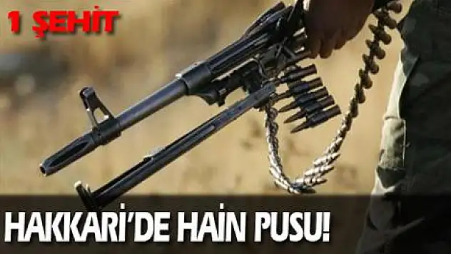 Hakkari'de hain pusu!