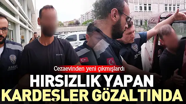 Araçların camını kırarak hırsızlık yapan kardeşler gözaltında