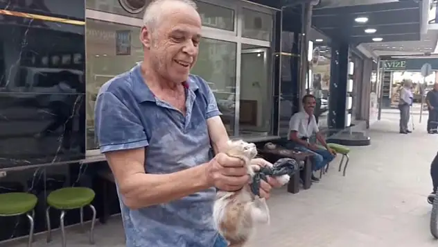 KEDİ ARACIN ALTINA GİRDİ