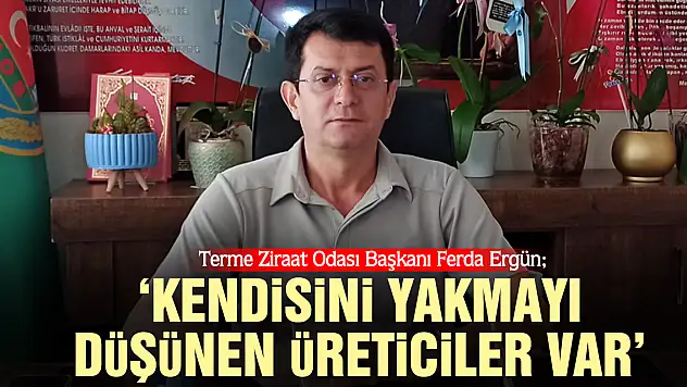 Terme Ziraat Odası Başkanı Ferda Ergün  'KENDİSİNİ YAKMAYI DÜŞÜNEN ÜRETİCİLER VAR'