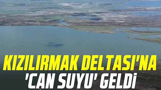 Kızılırmak Deltası'na 'can suyu' GELDi