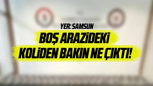 Boş arazideki koliden bakın ne çıktı!
