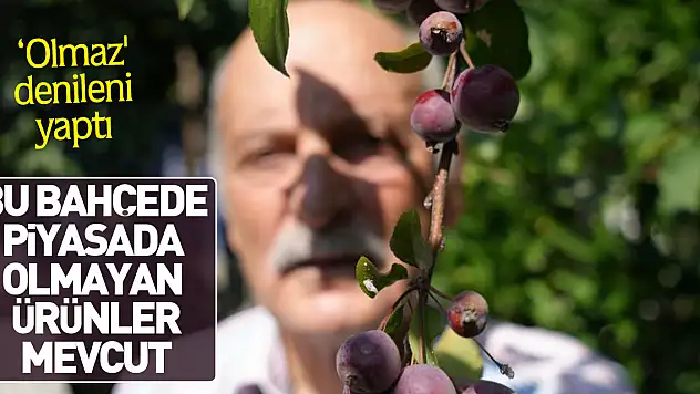 Bu bahçede piyasada olmayan ürünler mevcut