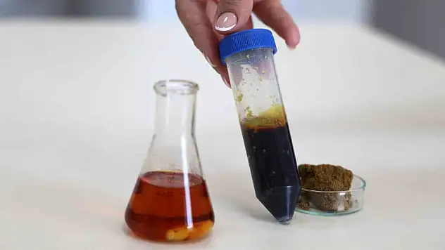 'Maymun Çiçeği' virüsüne şifa olacak