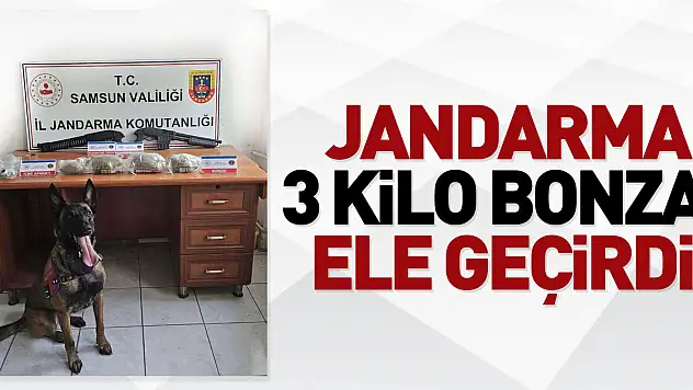 jandarma 3 kilo bonzai ele geçirdi
