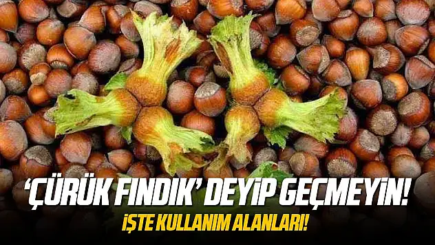'Çürük Fındık' deyip geçmeyin!