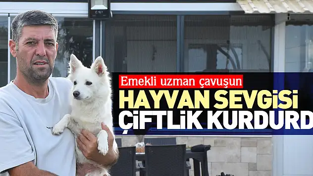 HAYVAN SEVGİSİ ÇİFTLİK KURDURDU