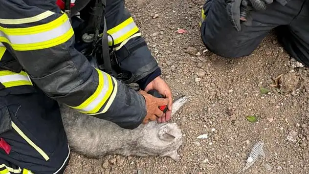 İtfaiye seferber oldu