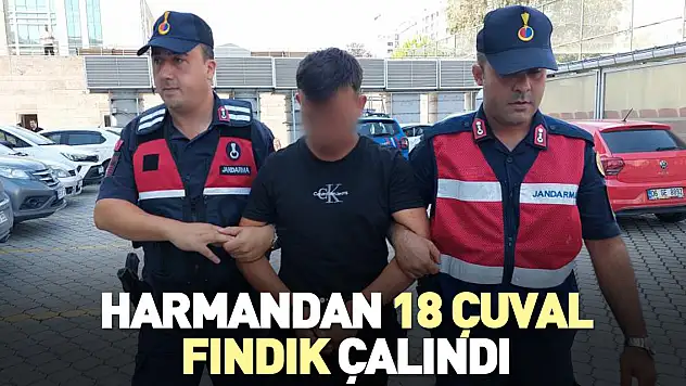 Harmandan 18 çuval fındık çalındı