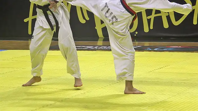 Milli sporcular, Karate 1 Serisi A Ligi'nde sezonu Avusturya'da kapatacak