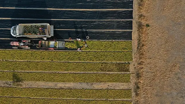 10 soruda işlenmeyen tarım arazilerinin kiraya verilmesi