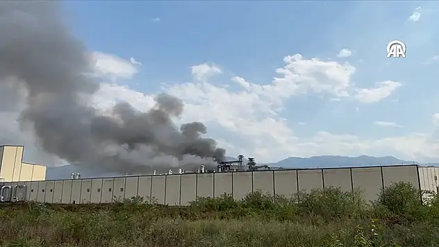 Sakarya'da makarna fabrikasında patlama meydana geldi
