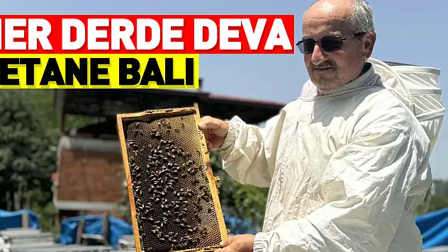 KESTANE BALI HER DERDE DEVA