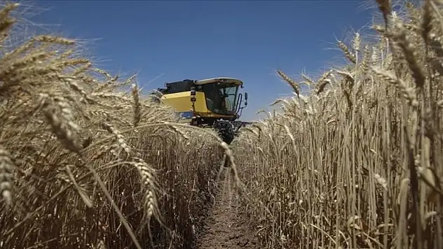 Tarım ÜFE aylık bazda azaldı