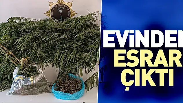Evinden esrar çıktı
